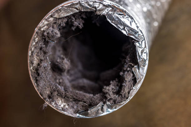Best Best Air Duct Cleaning Company  in Eldora, IA